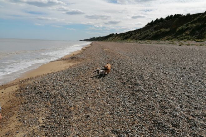 Dunwich Beach